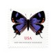 US 2021 Colorado Hairstreak Stamps Forever US 2021 Colorado Hairstreak Stamps Forever