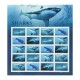 2017 U.S. Postal Issue Sharks Forever Stamps